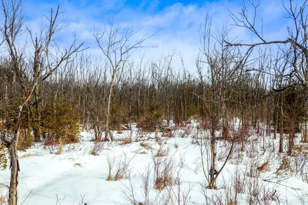 PtLt 19 First Line, Erin, ON L0N 1N0