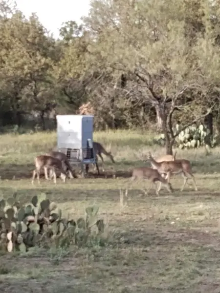 000 County Road 152, Brady, TX 76825