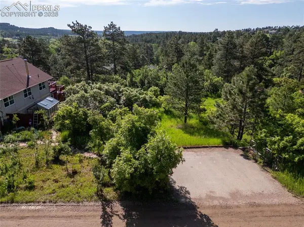 Buena Vista AVE, Palmer Lake, CO 80133