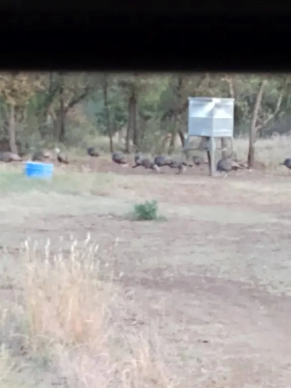 000 County Road 152, Brady, TX 76825