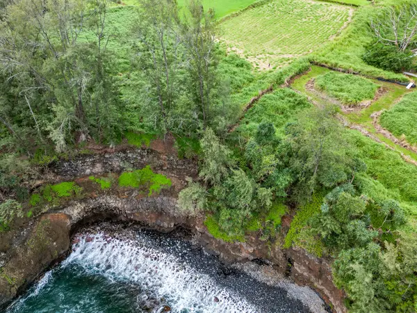 28-1168 LOA RD, Pepeekeo, HI 96783