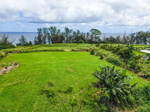 28-1168 LOA RD, Pepeekeo, HI 96783