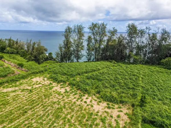 28-1168 LOA RD, Pepeekeo, HI 96783