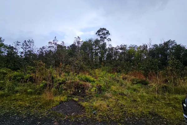 11-3011 ALII KANE ST, Volcano, HI 96785