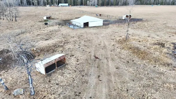 31442 Range Road 45, Rural Mountain View County, AB T0M 1X0