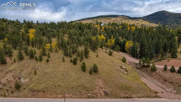 65 Portland DR, Cripple Creek, CO 80813