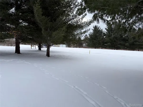 5467 Wellington, Butman Township, MI 48624