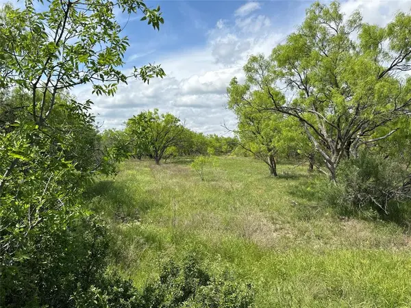 Tract 17 CR 150, Abilene, TX 79601