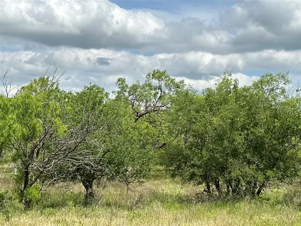 Tract 17 CR 150, Abilene, TX 79601
