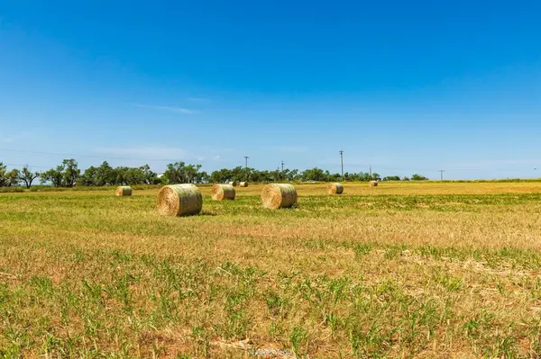 TBD FM 2746, Anson, TX 79501