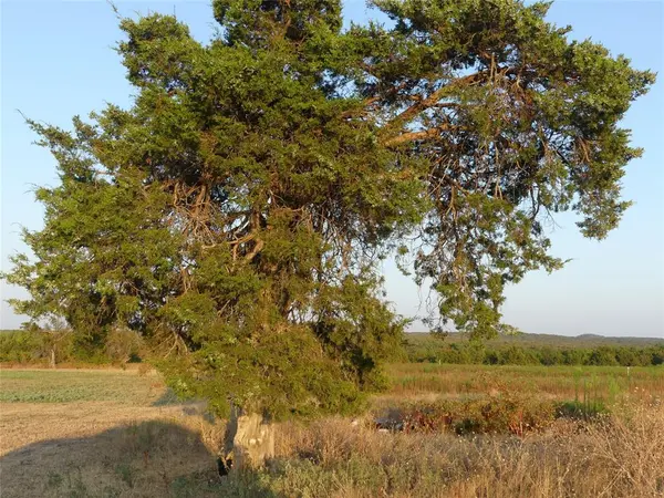 251 Pondview Lane, Nocona, TX 76255