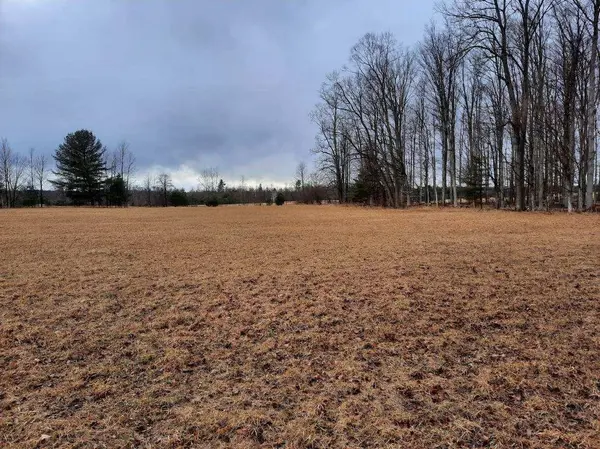 Kings Corner RD, Mikado Twp, MI 48745