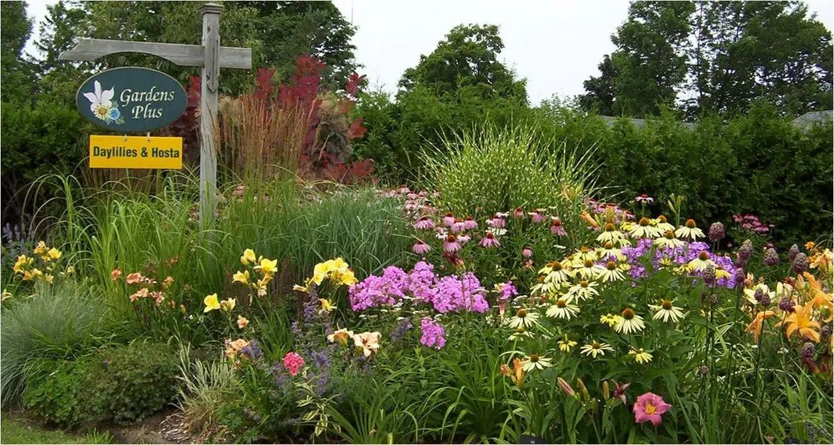 136 County 4 RD, Douro-dummer, ON K9L 1V6