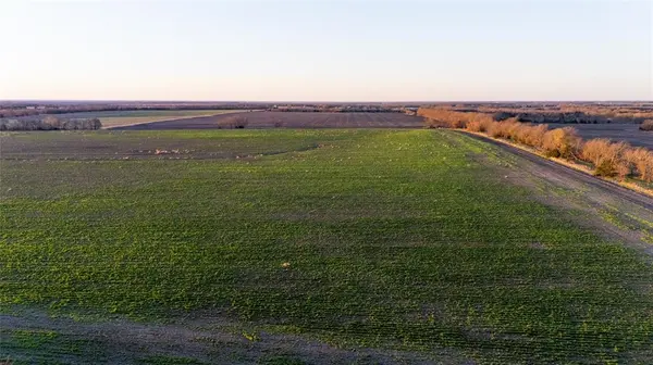 TBD FM 128, Ben Franklin, TX 75415