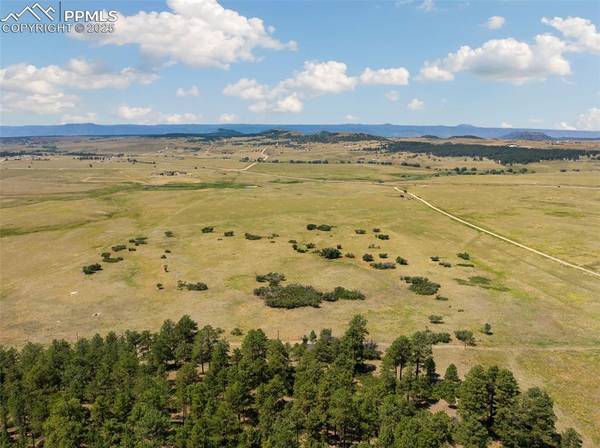 14252 S Highway 83, Larkspur, CO 80118