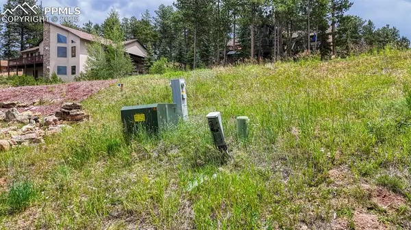 215 Iron Eagle PT, Woodland Park, CO 80863