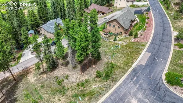 215 Iron Eagle PT, Woodland Park, CO 80863