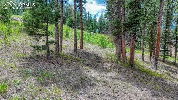 215 Iron Eagle PT, Woodland Park, CO 80863