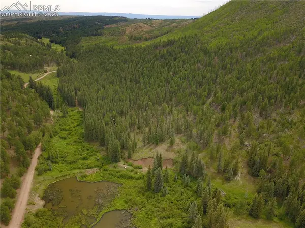 10223 Trail Creek RD, Florissant, CO 80816