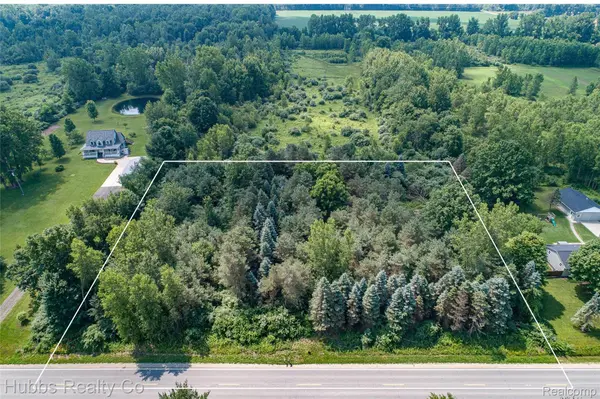 9361 Birch Run Rd, Arbela Township, MI 48746