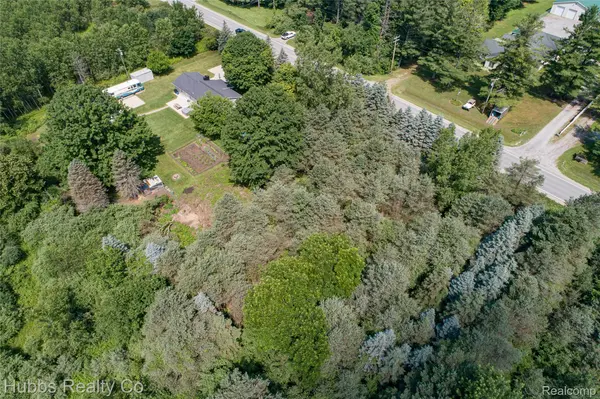 9361 Birch Run Rd, Arbela Township, MI 48746