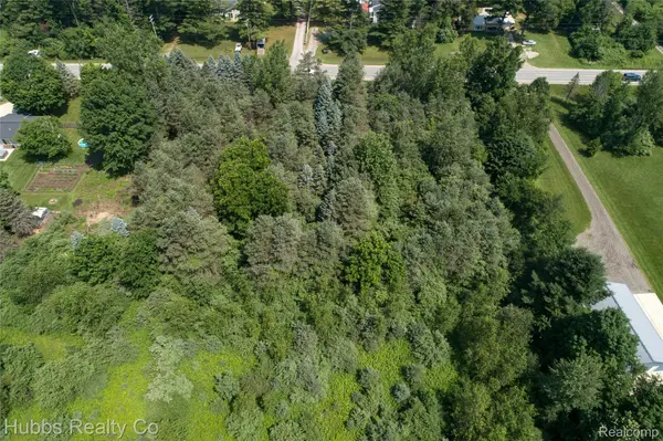 9361 Birch Run Rd, Arbela Township, MI 48746