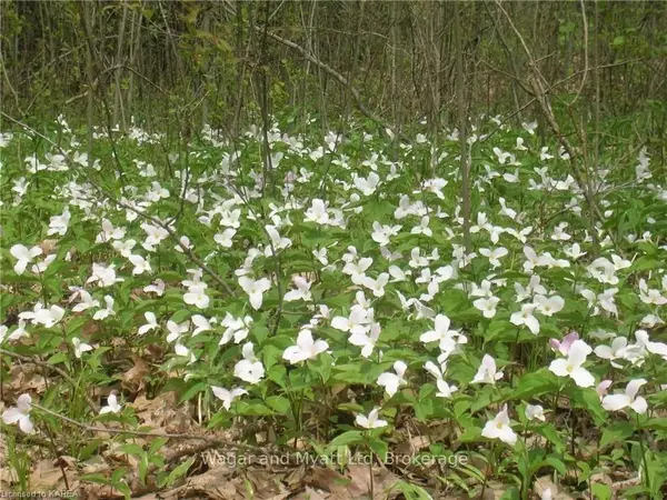 .. BRIDGE ST W, Greater Napanee, ON K7R 3L1