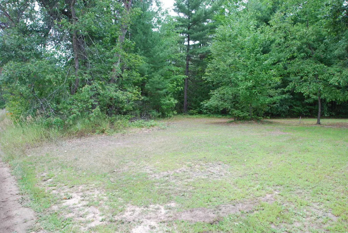 LOT 20 George ST, Mills Twp, MI 48756