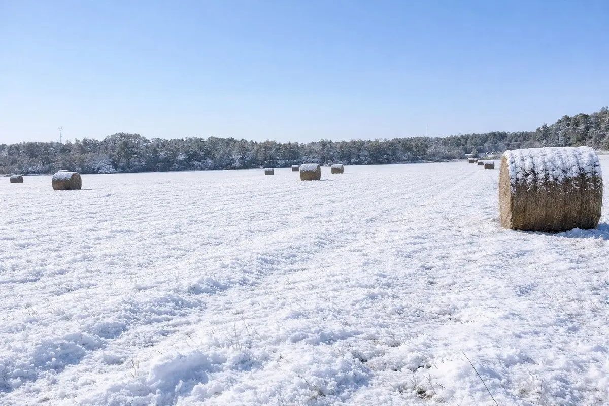 LOT 3 Prevost RD, French River, ON P0M 2N0