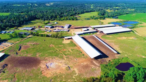 248 County Road 4310, Winnsboro, TX 75494