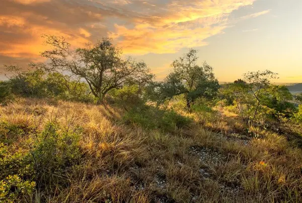 12516 Wire Road, Leander, TX 78641