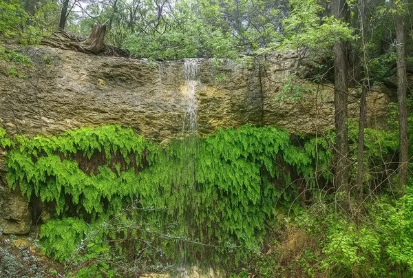 12516 Wire Road, Leander, TX 78641