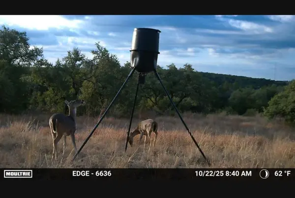 12516 Wire Road, Leander, TX 78641