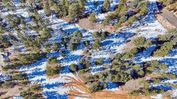 79 Huntsman CIR, Florissant, CO 80816