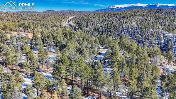 79 Huntsman CIR, Florissant, CO 80816