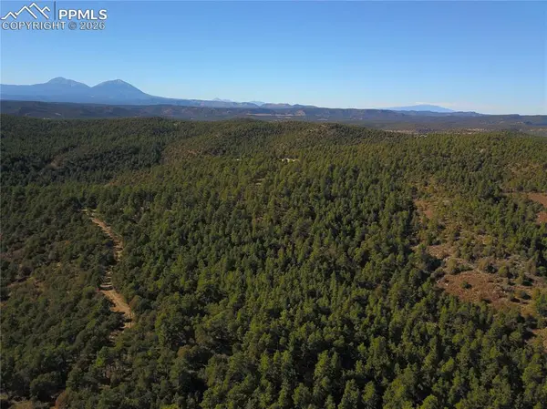 000 Ponderosa TRL, Trinidad, CO 81082