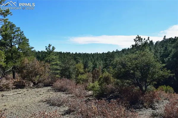000 Ponderosa TRL, Trinidad, CO 81082
