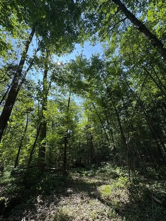 0 Lot 1 Conc. 2 Part 4 Boundary RD, Alfred And Plantagenet, ON K0B 1L0