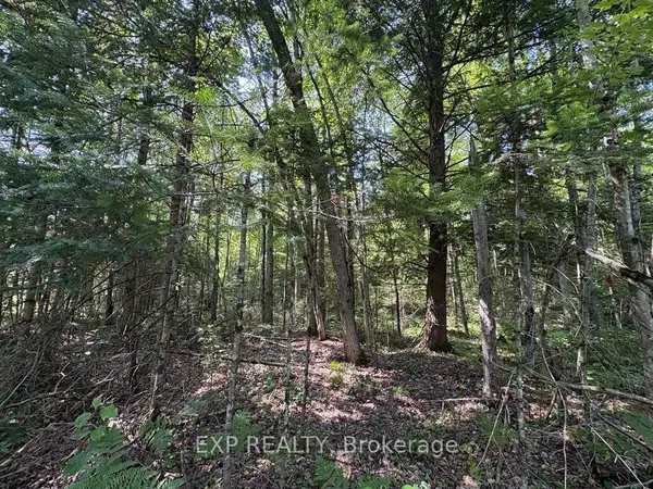 0 Lot 1 Conc. 2 Part 4 Boundary RD, Alfred And Plantagenet, ON K0B 1L0