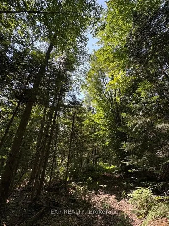 0 Lot 1 Conc. 2 Part 4 Boundary RD, Alfred And Plantagenet, ON K0B 1L0