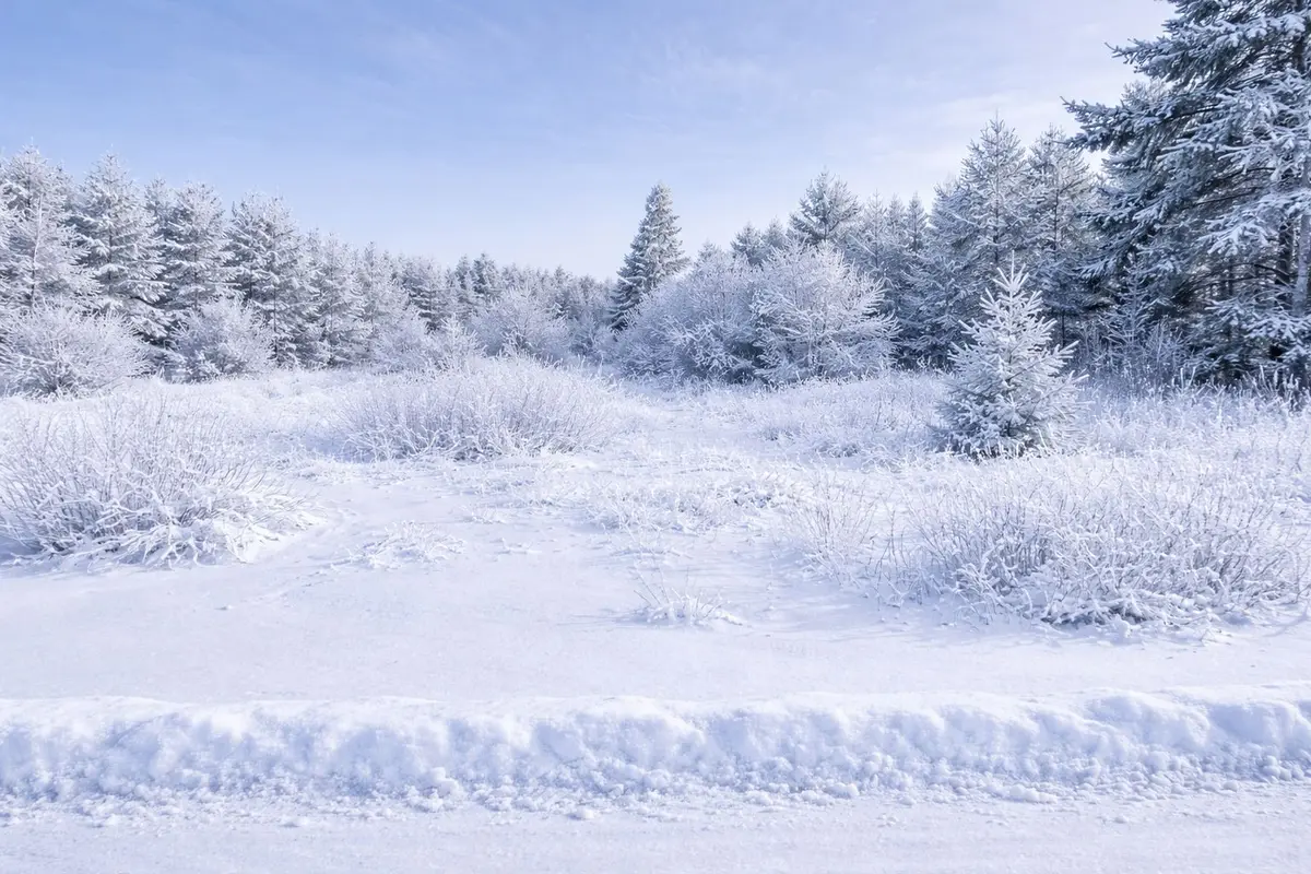 LOT 1 Prevost RD, French River, ON P0M 2N0