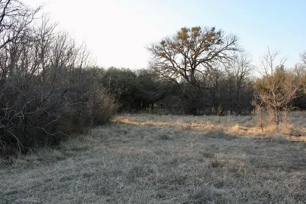 Lot 49 Tatanka Trail, Gustine, TX 76455