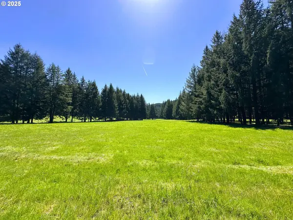 75325 MOSBY CREEK RD, Cottage Grove, OR 97424