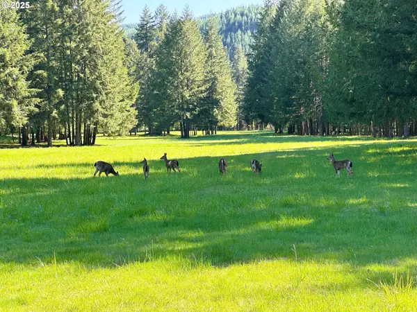 75325 MOSBY CREEK RD, Cottage Grove, OR 97424