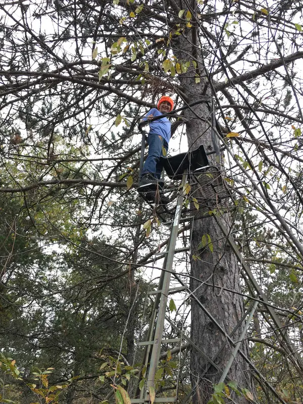 2498 W Five Mile RD, Beaver Creek Twp, MI 49738