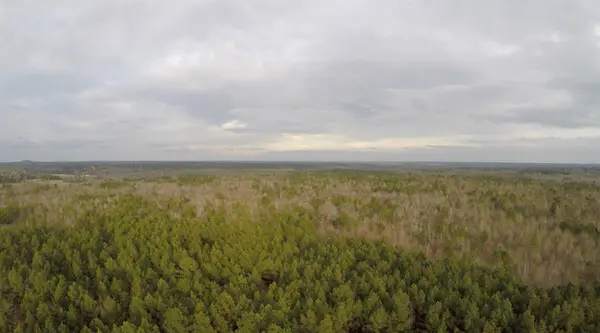 0000 CR 245 N, Kilgore, TX 75662