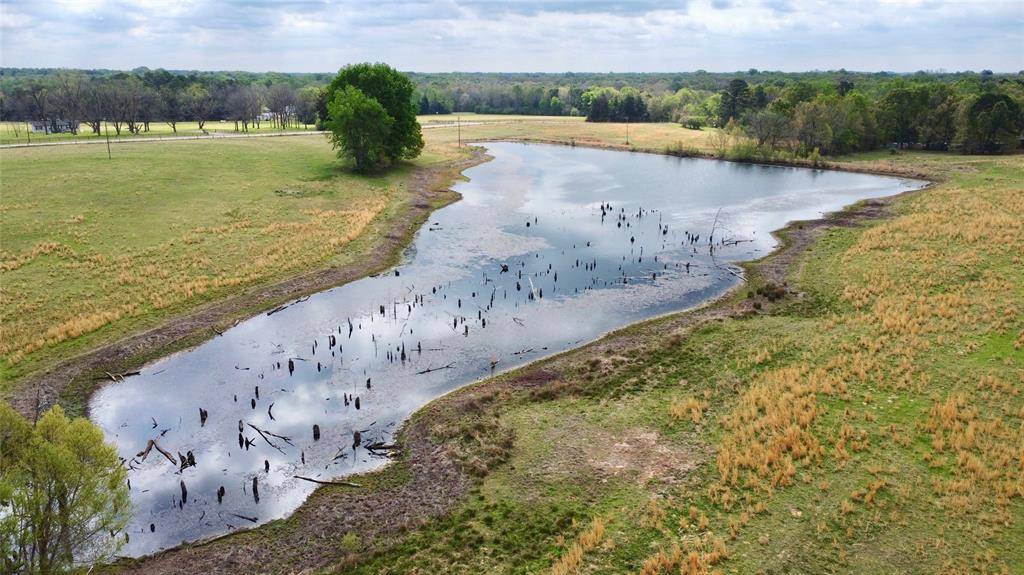 TBD FM 1001, Cookville, TX 75558