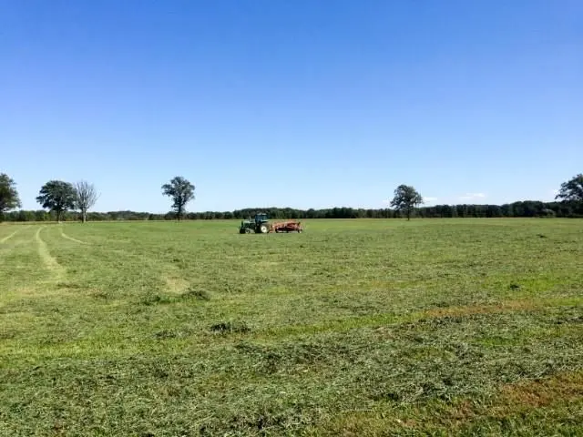 4001 Courtright Line, Enniskillen, ON N0N 1P0