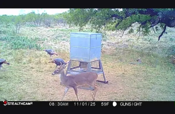 TBD County Road 154, Breckenridge, TX 76424