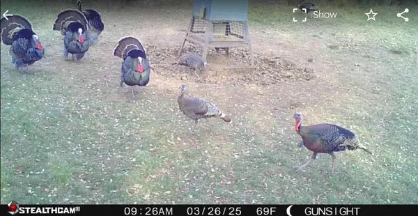 TBD County Road 154, Breckenridge, TX 76424